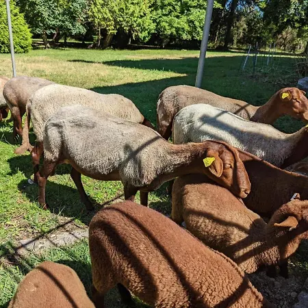 Σπίτι διακοπών Familial Avec Piscine Chauffee, Jardin Prive Et Equipements Bebe En Charente - Fr-1-653-182 *