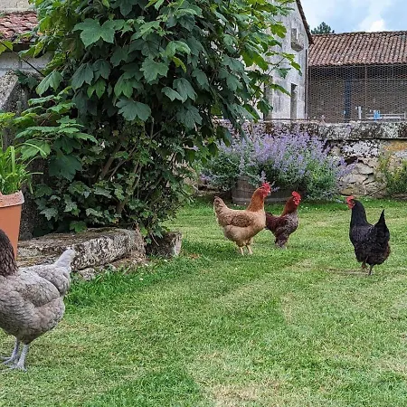 Tatil Evi Familial Avec Piscine Chauffee, Jardin Prive Et Equipements Bebe En Charente - Fr-1-653-182 Montmoreau